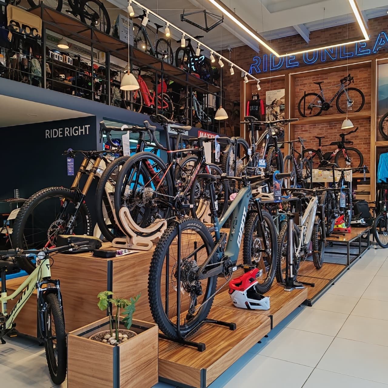 Bicicletas de ruta y montaña en la tienda Giant Juriquilla