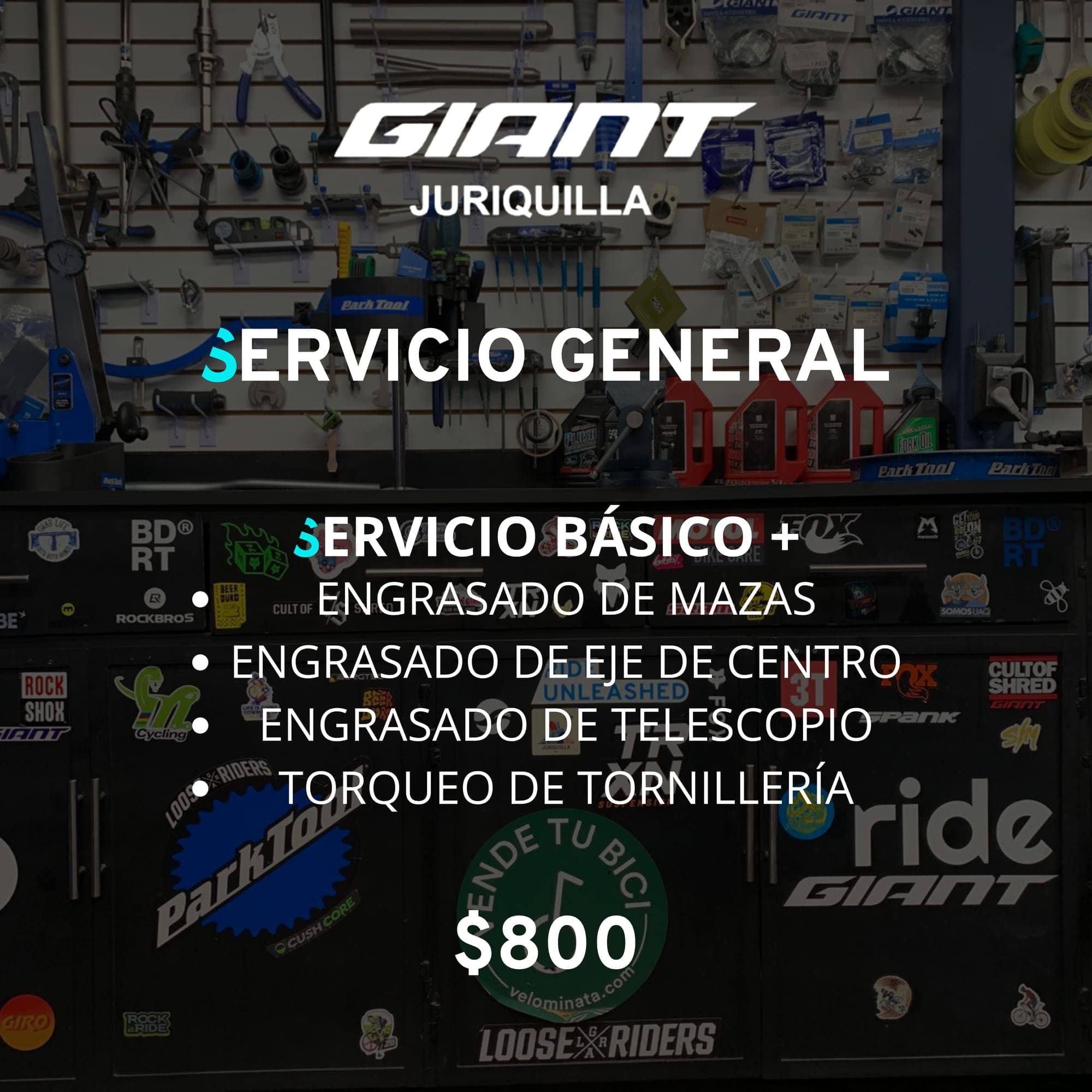 Servicio General del taller Giant Juriquilla, $800: Servicio Básico más engrasado de mazas, eje de centro y telescopio, y torqueo de tornillería.