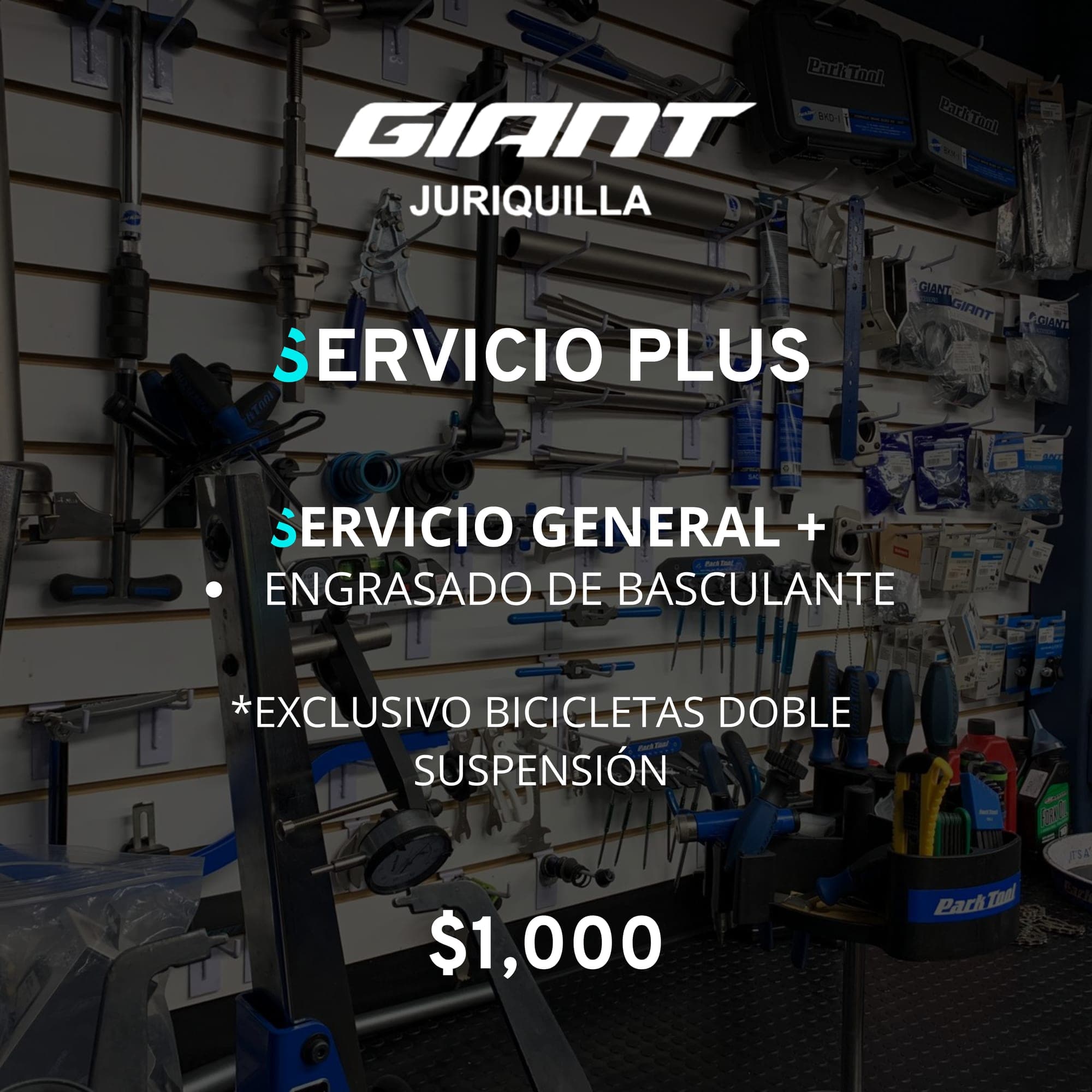 Servicio Plus del taller Giant Juriquilla, $1,000: Servicio General más engrasado de basculante. Exclusivo para bicicletas de doble suspensión.