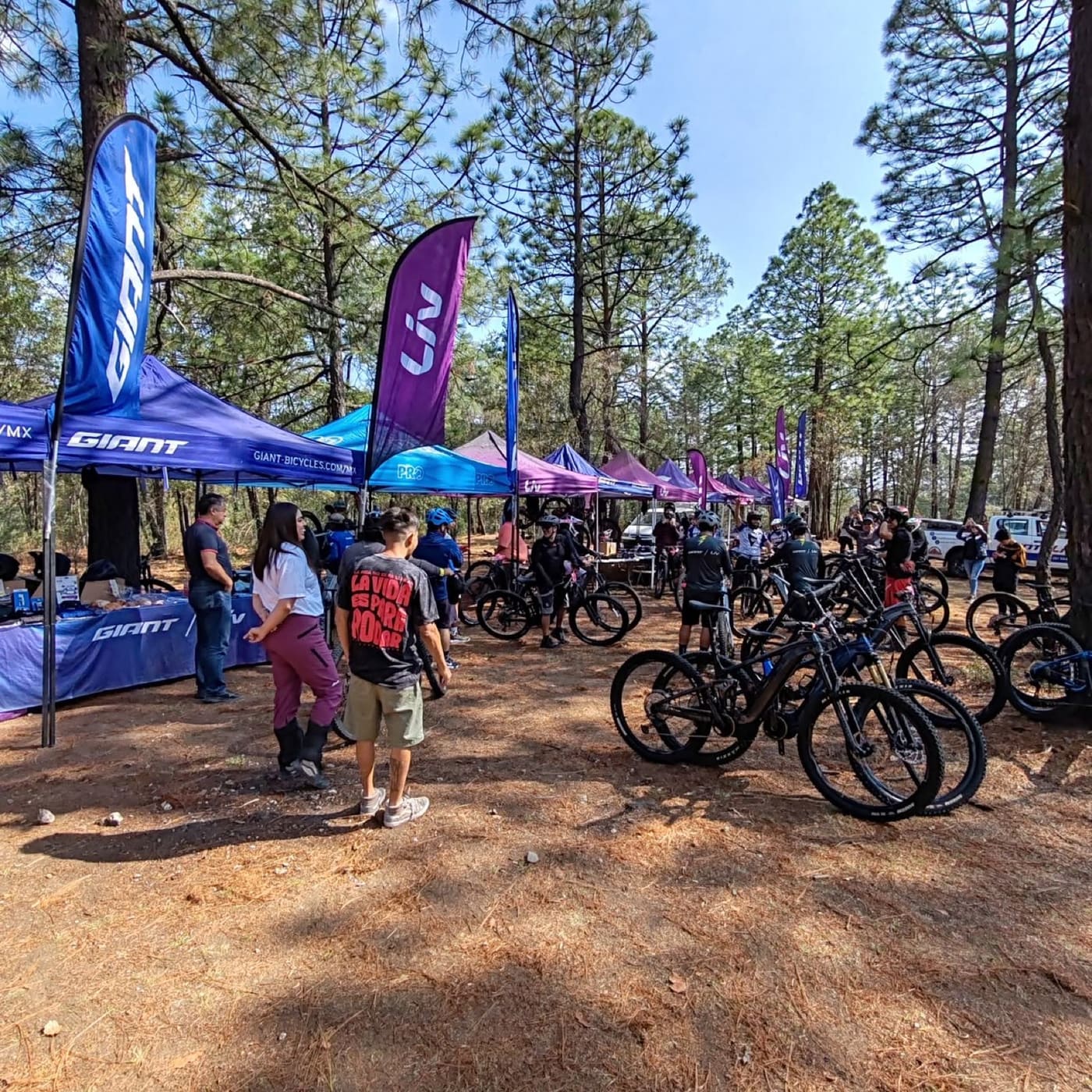 Carpas de Giant y Liv en un evento de ciclismo de montaña entre los pinos