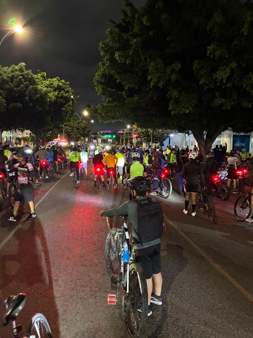 Pelotón de ciclistas avanzando de noche por una avenida arbolada