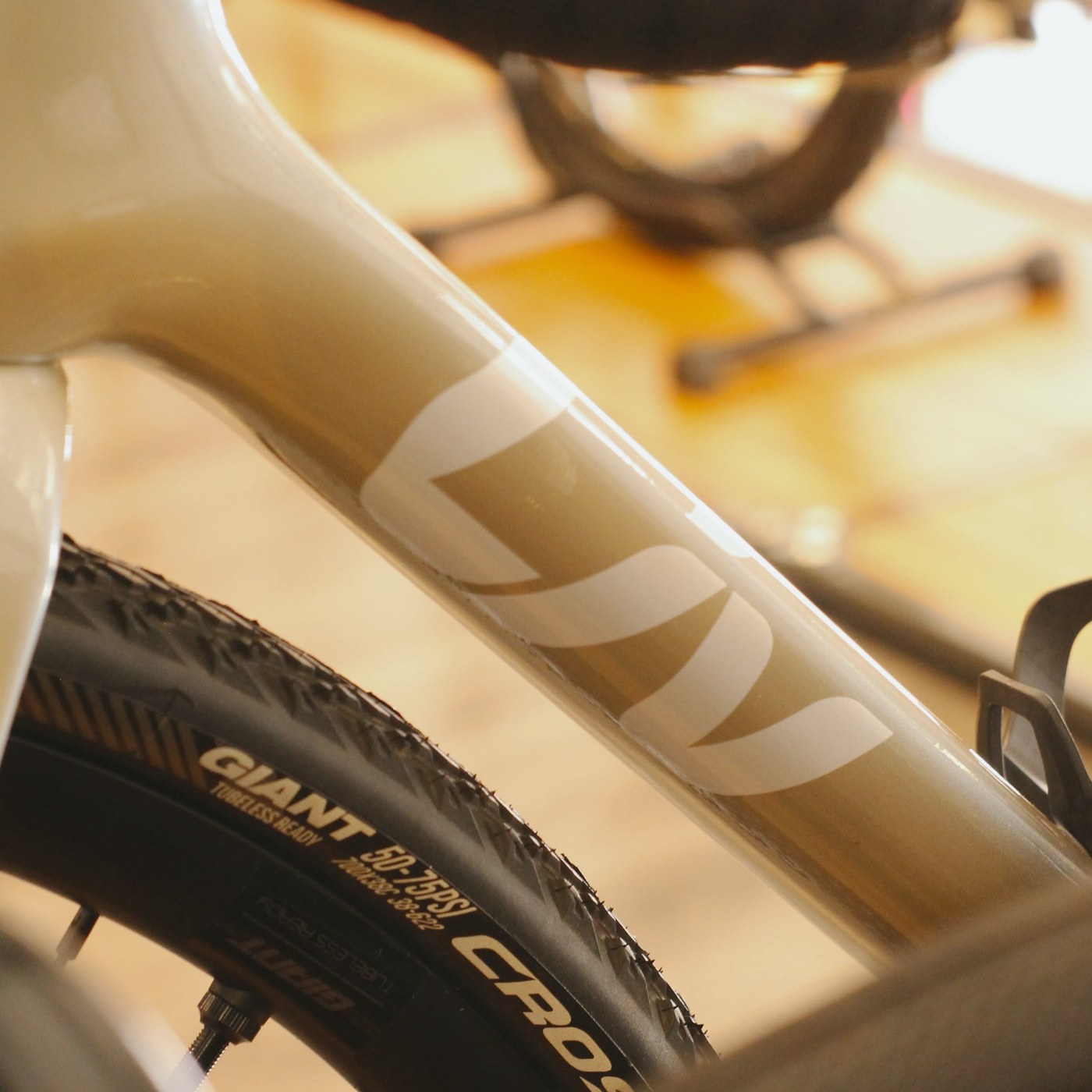 Detalle del cuadro de una bicicleta gravel Liv con llanta Giant Crosscut