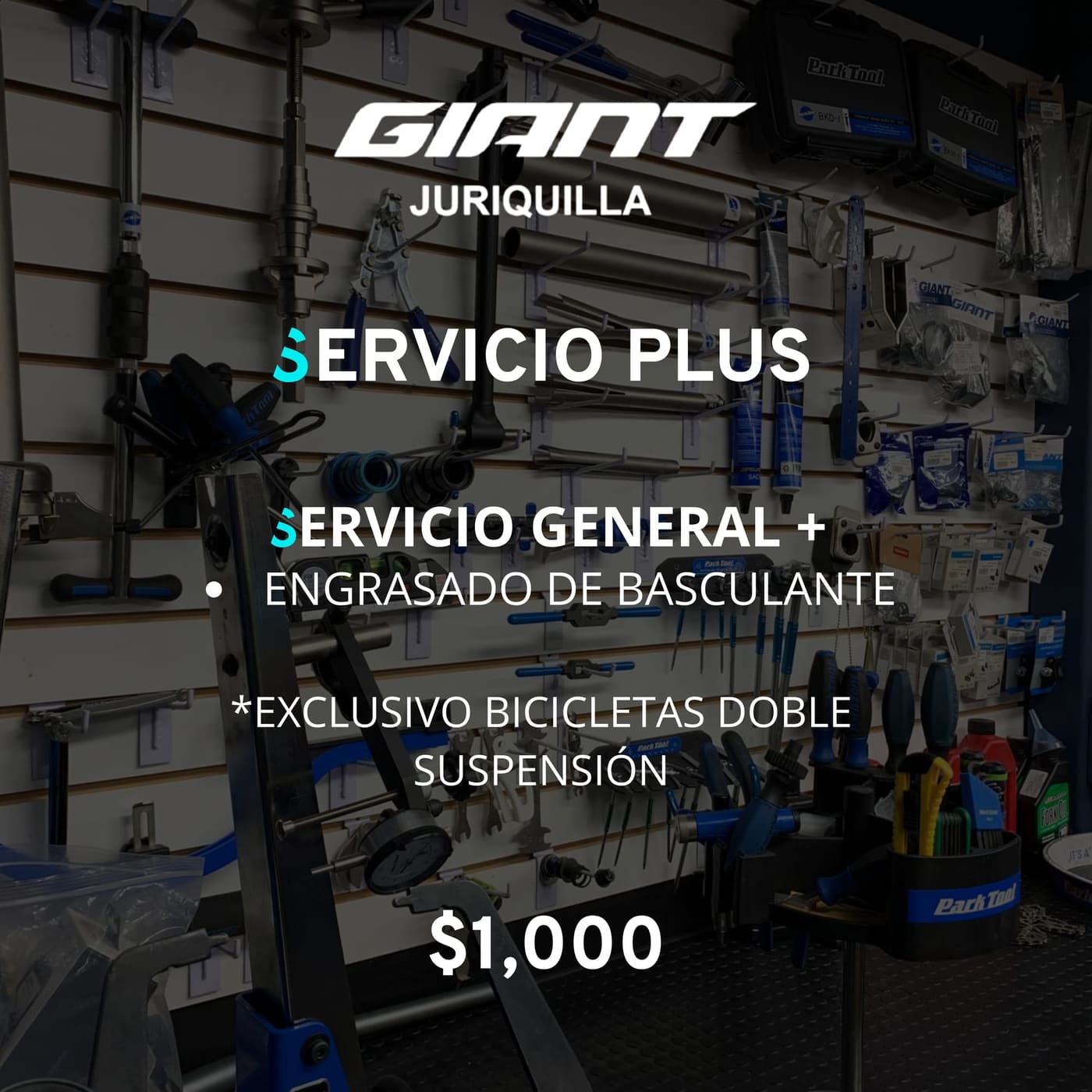 Servicio Plus del taller Giant Juriquilla, $1,000: Servicio General más engrasado de basculante. Exclusivo para bicicletas de doble suspensión.